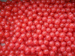 Beads in Bulk or by the package